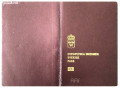 nudim-brak-za-papire-u-svedskoj-small-0