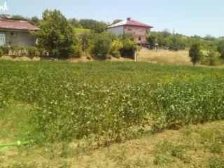 placevi-za-prodazba-selo-radisani
