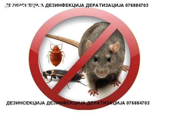dezinsekcija-dezinfekcija-deratizacija-kvalitet-lebraki-mravki-gluvci-tavtabiti-stenici-big-0
