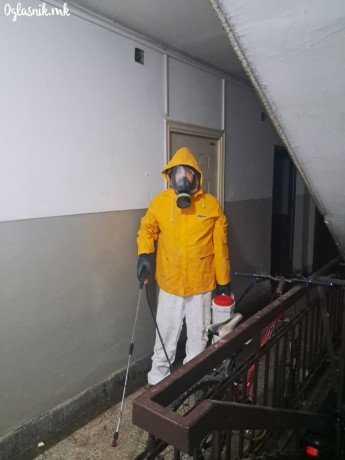 dezinsekcija-dezinfekcija-deratizacija-kvalitet-lebraki-mravki-gluvci-tavtabiti-stenici-big-2