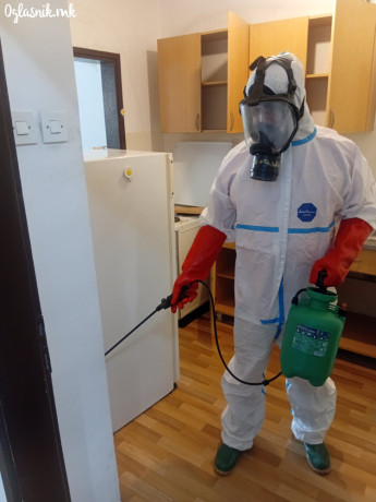 dezinsekcija-dezinfekcija-deratizacija-kvalitet-lebraki-mravki-gluvci-tavtabiti-stenici-big-1